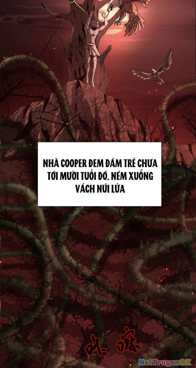 Cái Bóng Phản Bội Của Gia Tộc Chapter 3 - 21