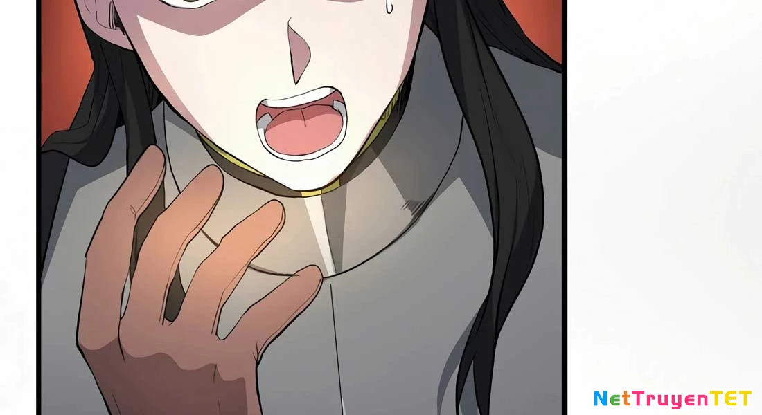 Tôi Thăng Cấp Bằng Kĩ Năng Chapter 82 - 33