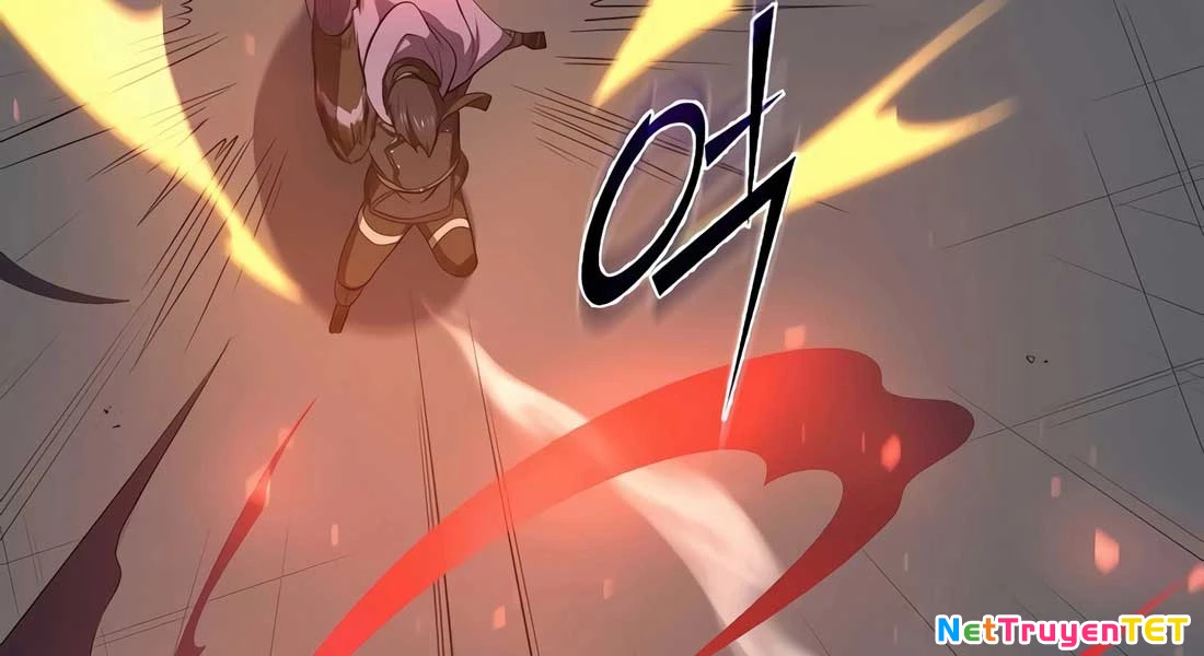 Tôi Thăng Cấp Bằng Kĩ Năng Chapter 82 - 288