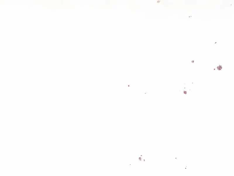 Kí Sự Hồi Quy Chapter 117 - 215