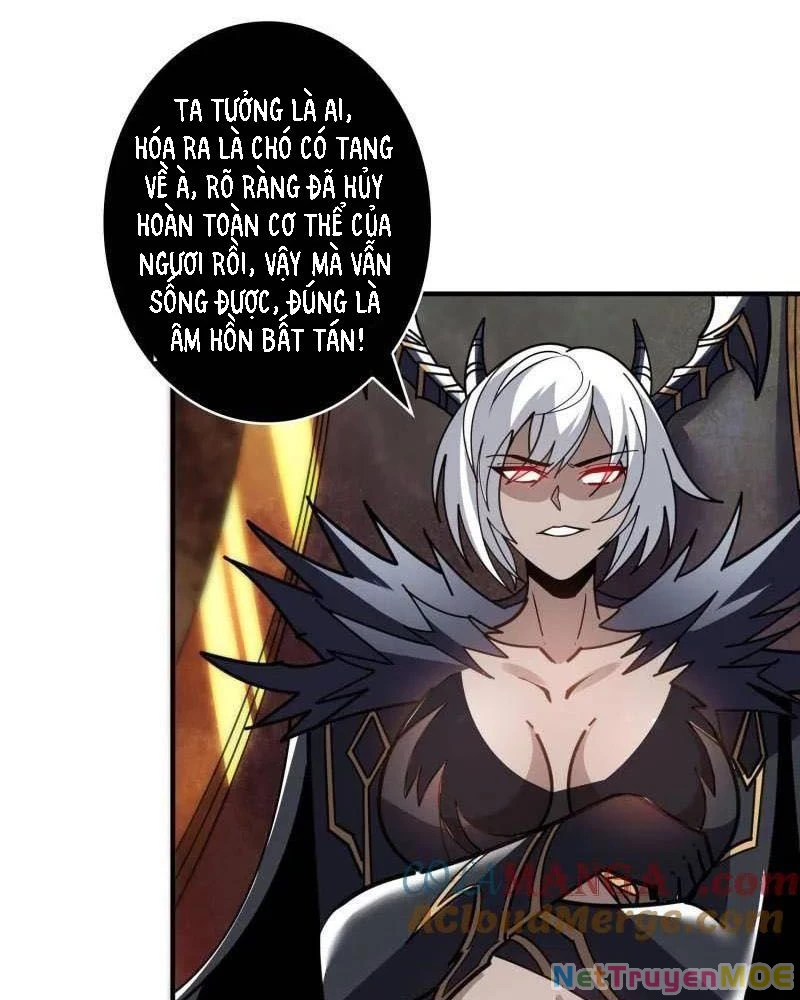 Vừa Chơi Đã Có Tài Khoản Vương Giả Chapter 492 - Trang 2