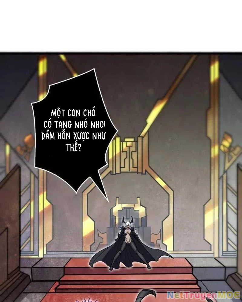 Vừa Chơi Đã Có Tài Khoản Vương Giả Chapter 492 - Trang 2
