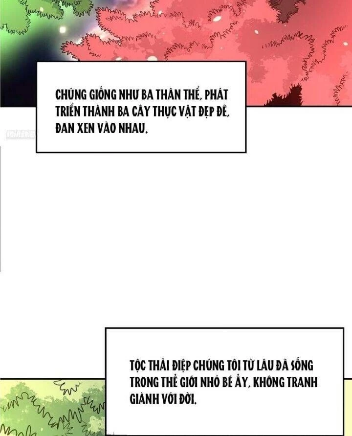 Nguyên Lai Ta Là Tu Tiên Đại Lão Chapter 494 - 9