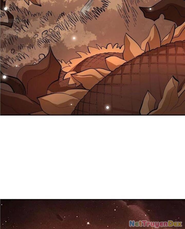 Nguyên Lai Ta Là Tu Tiên Đại Lão Chapter 495 - 3