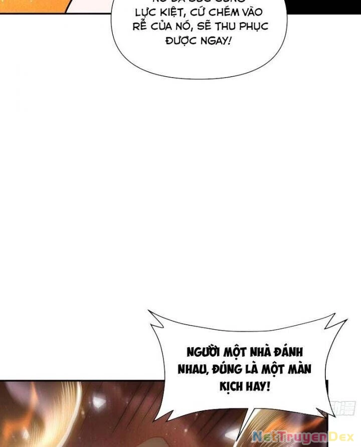 Nguyên Lai Ta Là Tu Tiên Đại Lão Chapter 495 - 75