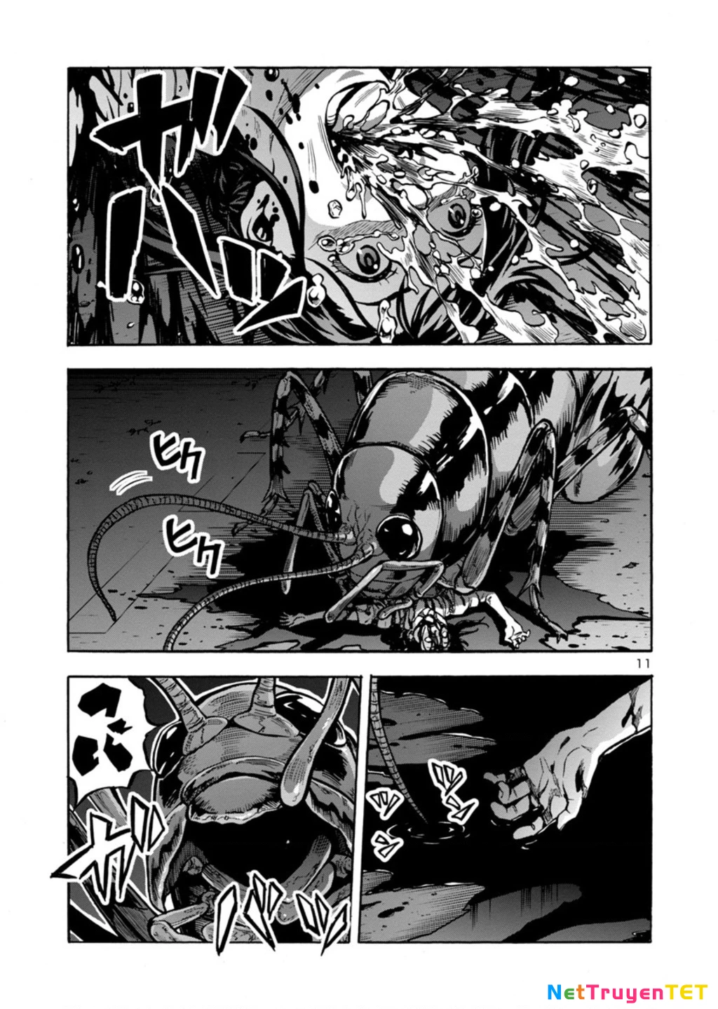 Siêu Đảo Côn Trùng Chapter 29.5 - 12