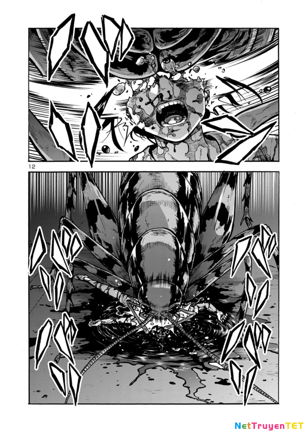 Siêu Đảo Côn Trùng Chapter 29.5 - 13