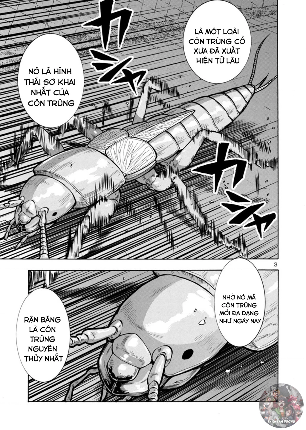 Siêu Đảo Côn Trùng Chapter 32.5 - 4