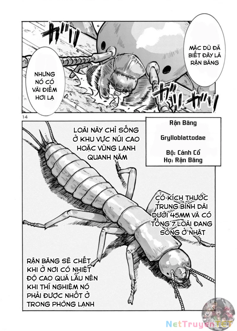 Siêu Đảo Côn Trùng Chapter 32.5 - 15