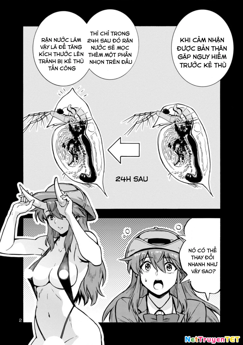 Siêu Đảo Côn Trùng Chapter 33 - 3