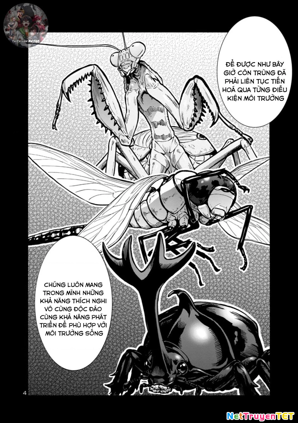 Siêu Đảo Côn Trùng Chapter 33 - 5