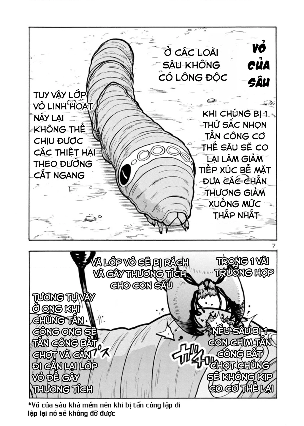 Siêu Đảo Côn Trùng Chapter 35.5 - 8
