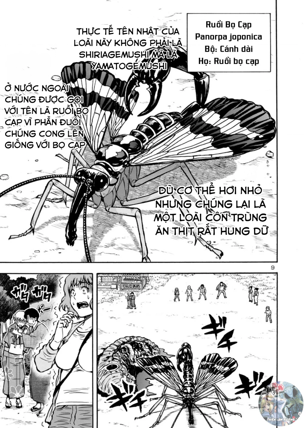 Siêu Đảo Côn Trùng Chapter 36 - 10