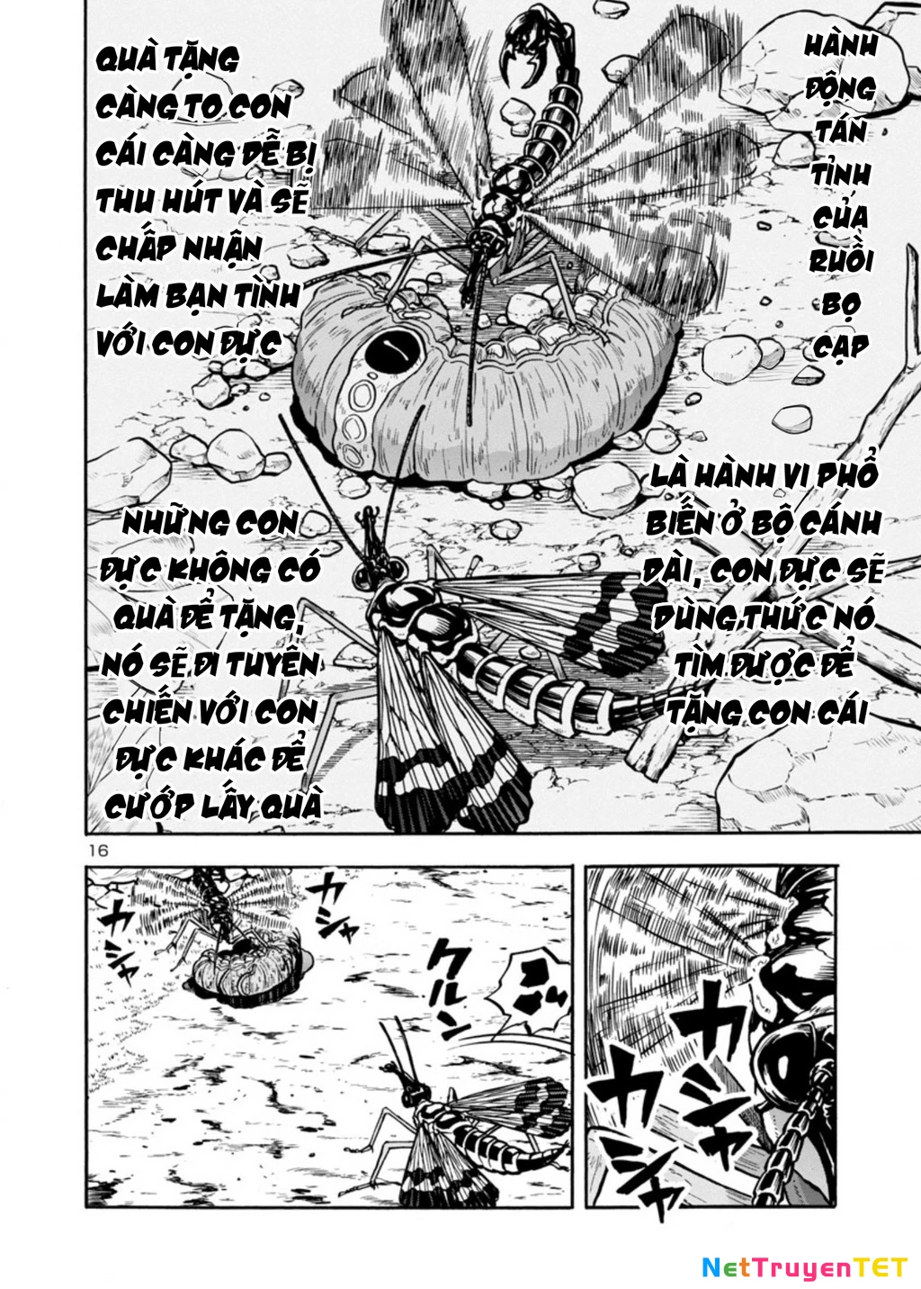 Siêu Đảo Côn Trùng Chapter 37 - 18