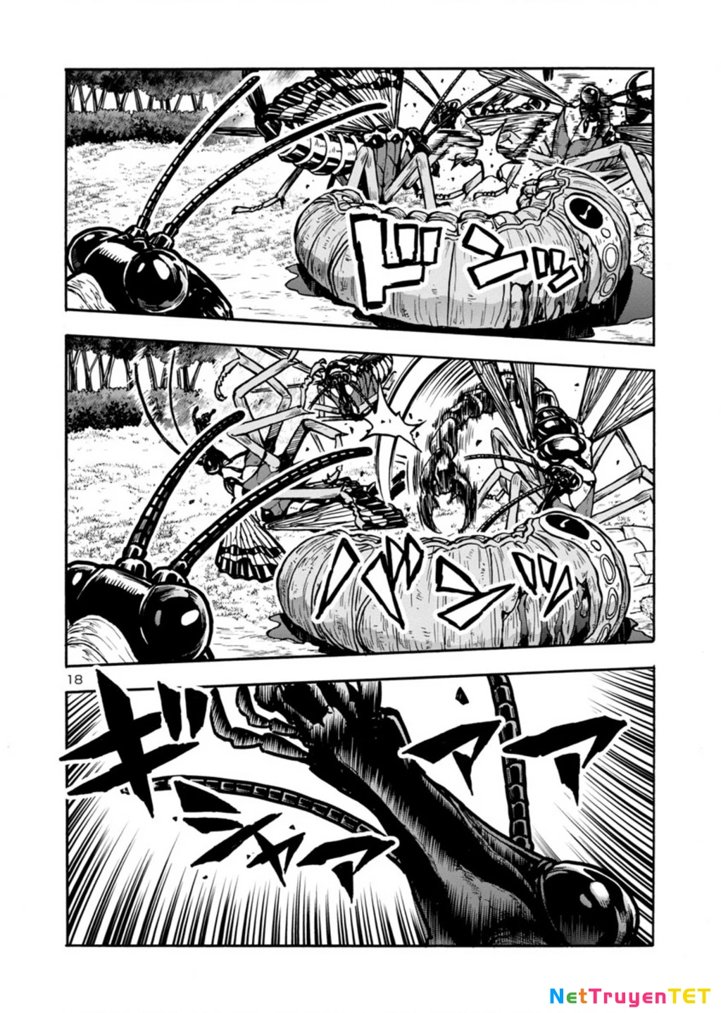 Siêu Đảo Côn Trùng Chapter 37 - 20