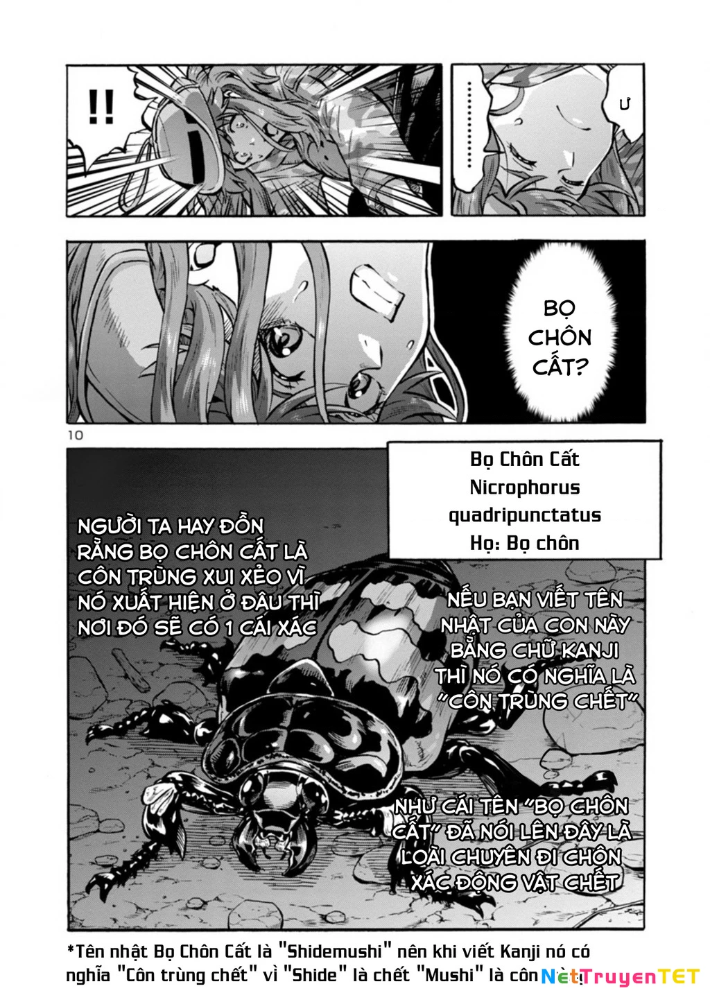 Siêu Đảo Côn Trùng Chapter 38.5 - 12