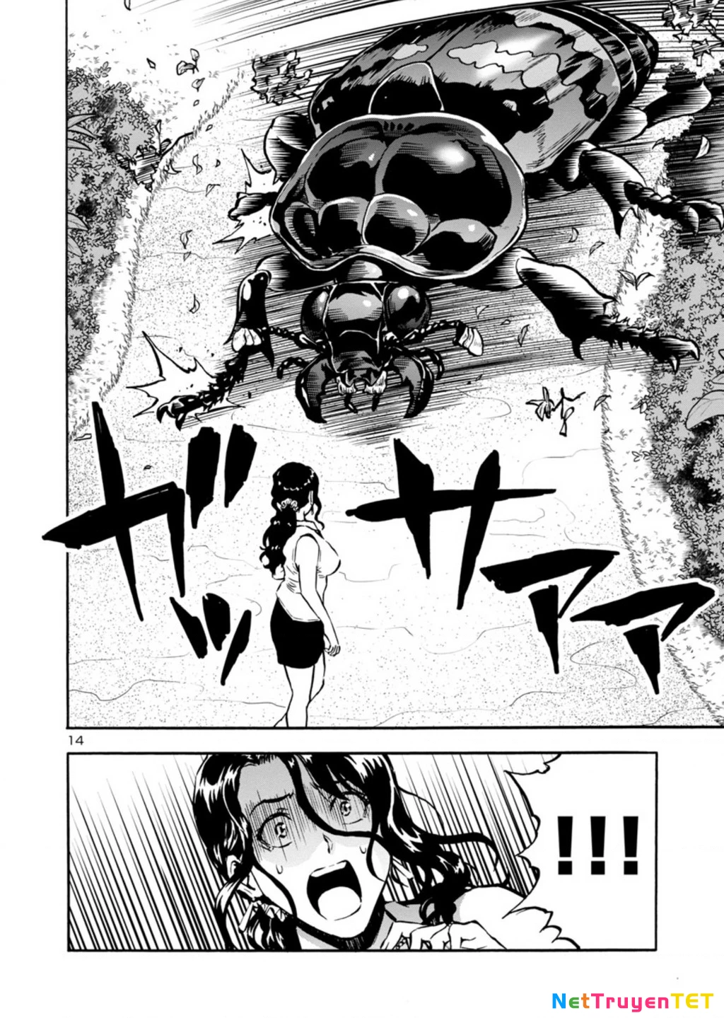 Siêu Đảo Côn Trùng Chapter 38.5 - 16