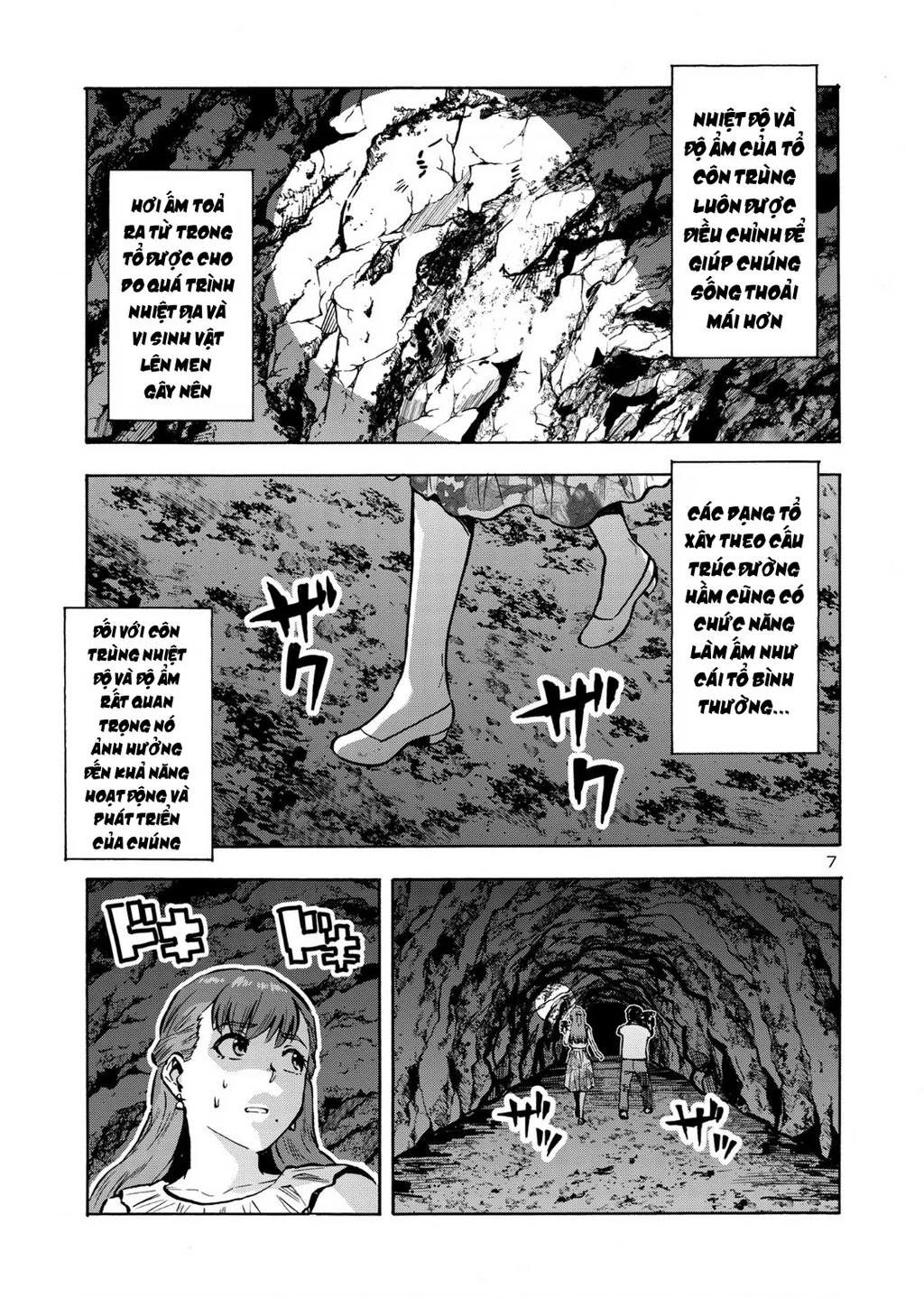 Siêu Đảo Côn Trùng Chapter 41 - 9