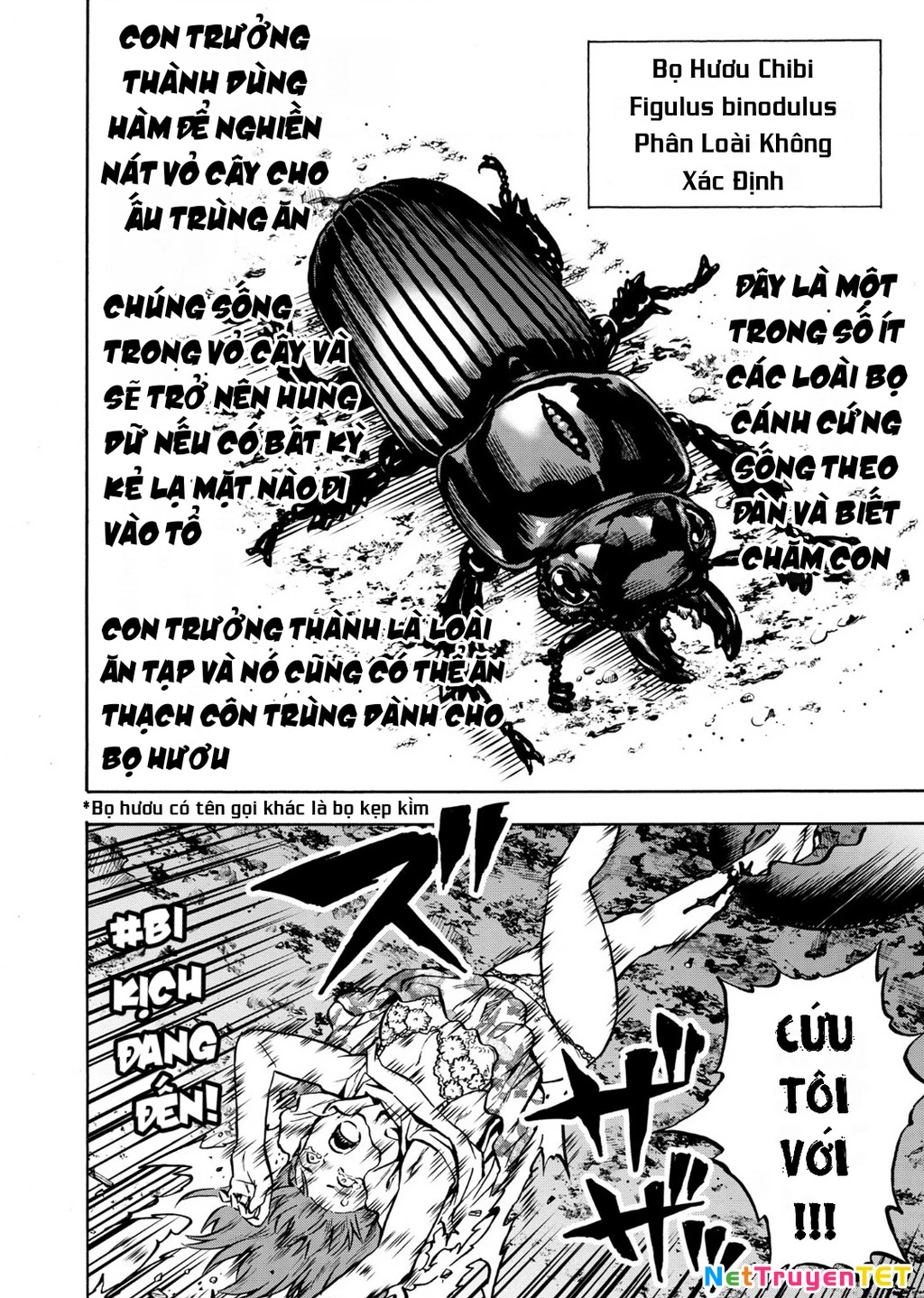 Siêu Đảo Côn Trùng Chapter 41 - 16