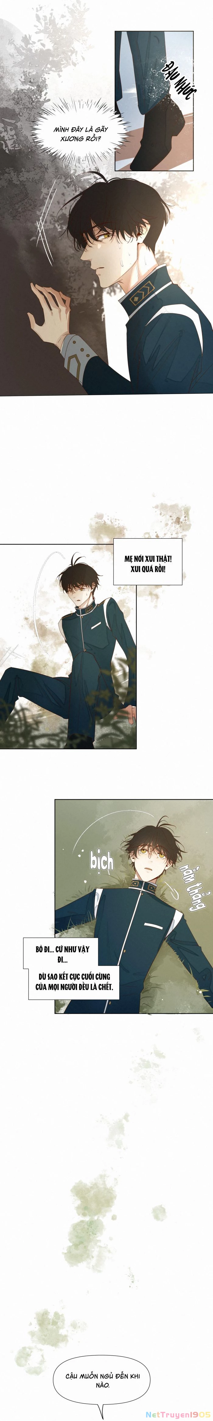 Tuyệt Xử Phùng Sinh Chapter 15 - 12