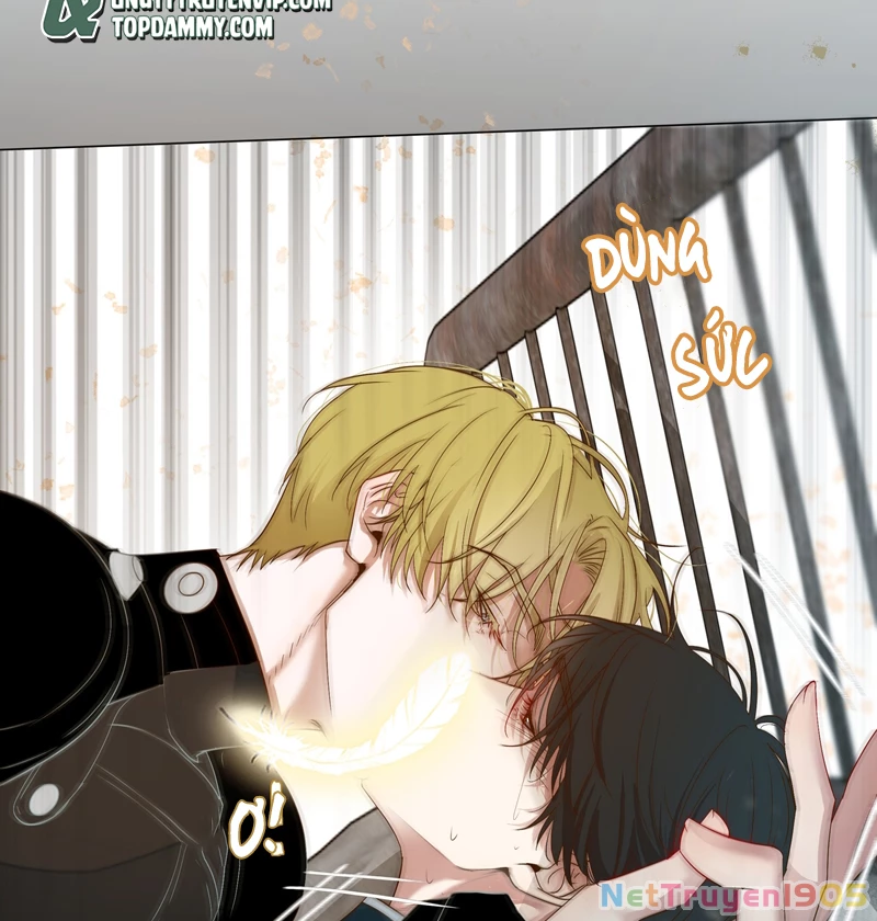 Tuyệt Xử Phùng Sinh Chapter 17 - 8