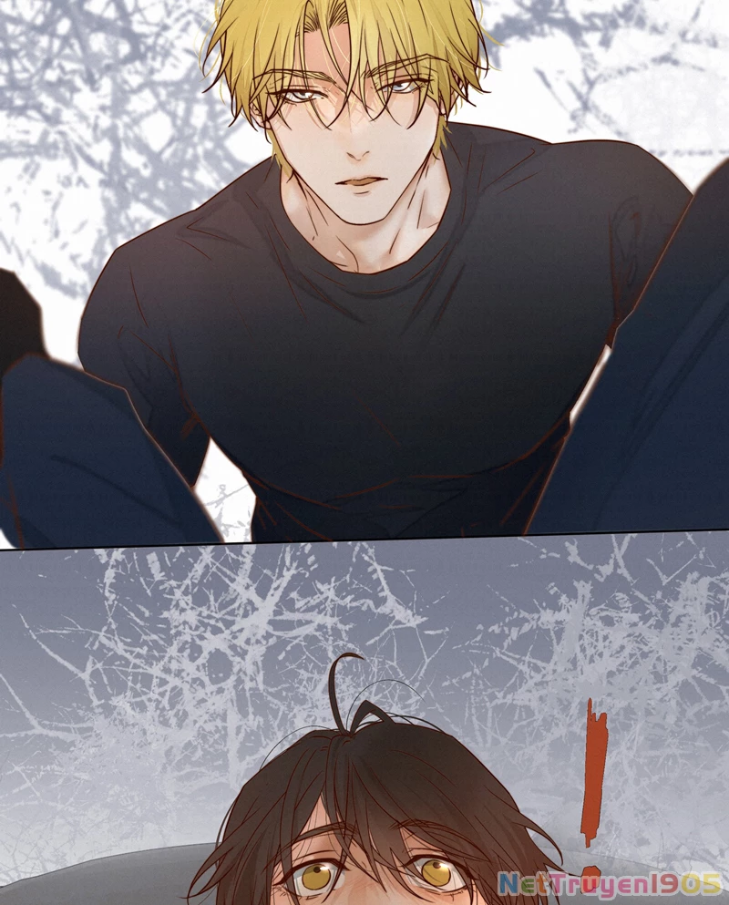 Tuyệt Xử Phùng Sinh Chapter 23 - 31