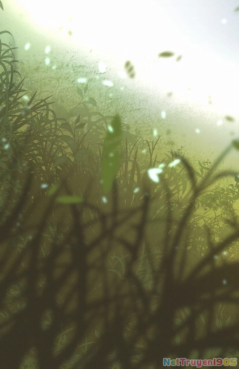 Tuyệt Xử Phùng Sinh Chapter 31 - 26