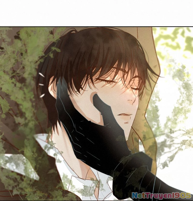 Tuyệt Xử Phùng Sinh Chapter 31 - 39