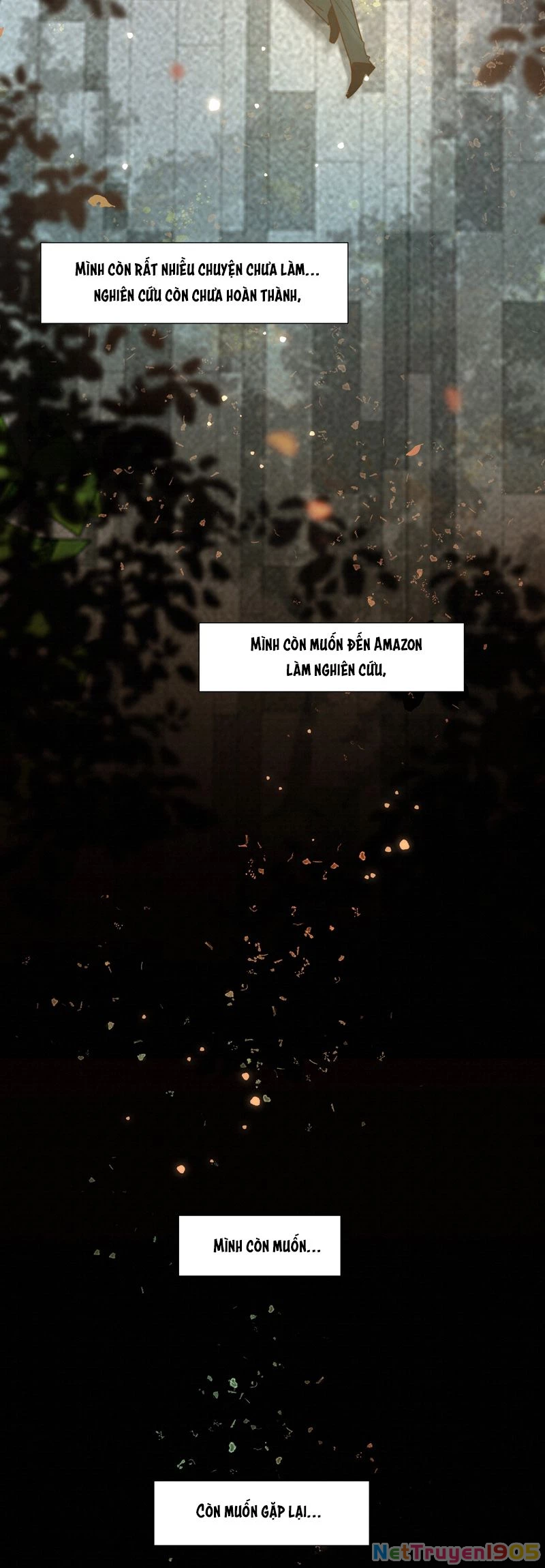 Tuyệt Xử Phùng Sinh Chapter 50 - 8