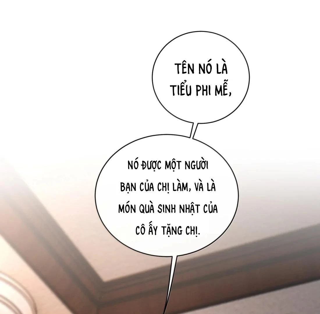 Người Tình Nguy Hiểm Chapter 22 - 41