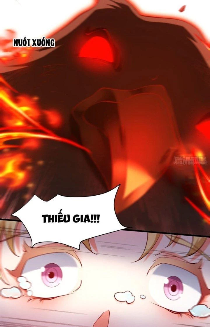 Vạn Đạo Chúa Tể Chapter 31 - 13