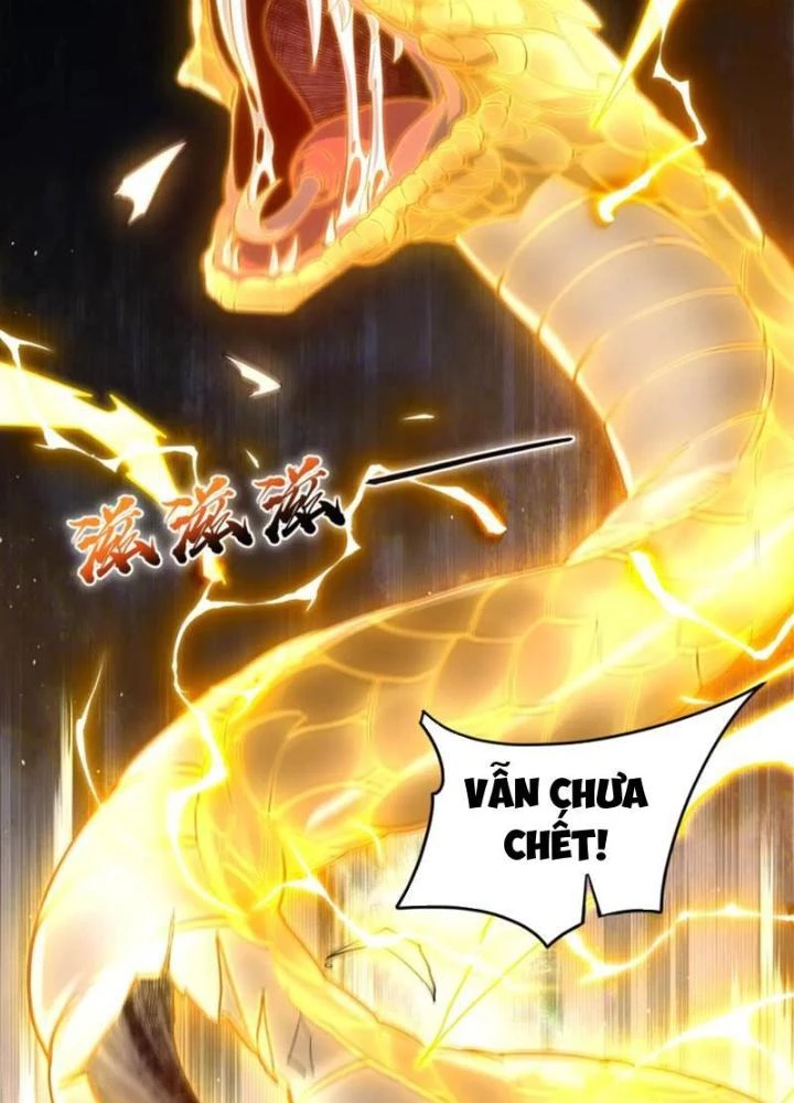 Vạn Đạo Chúa Tể Chapter 49 - 5
