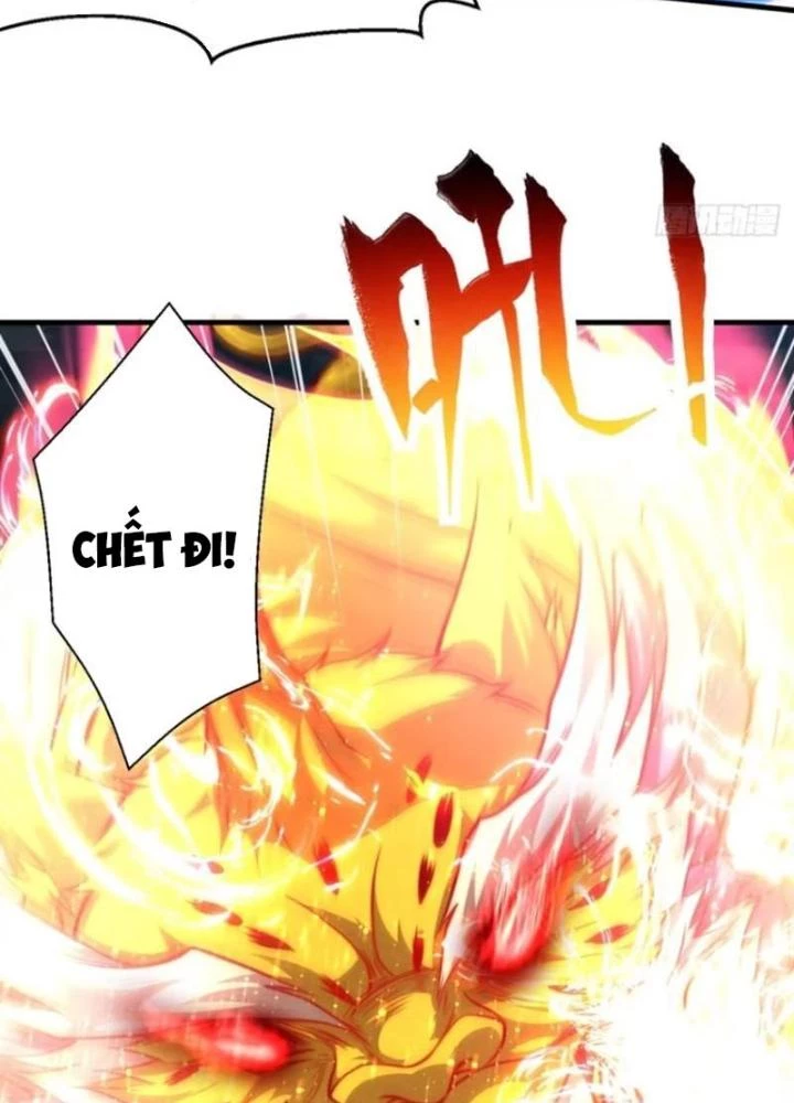 Vạn Đạo Chúa Tể Chapter 74 - 5