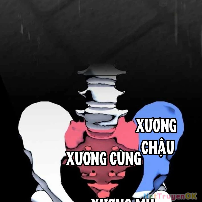 Tuyệt Đỉnh Bác Sĩ Chapter 14 - Trang 2