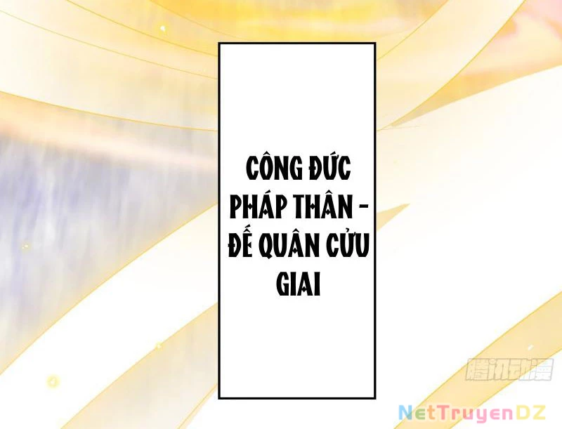 Hệ Thống Hèn Mọn Quỳ Xuống Cầu Xin Ta Vô Địch Chapter 17 - 14