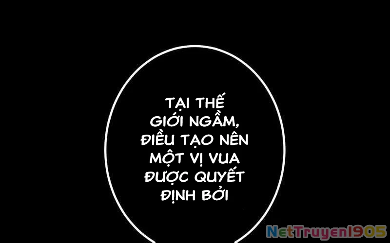 Huyết Thánh Cứu Thế Chủ~ Ta Chỉ Cần 0.0000001% Đã Trở Thành Vô Địch Chapter 105 - 36