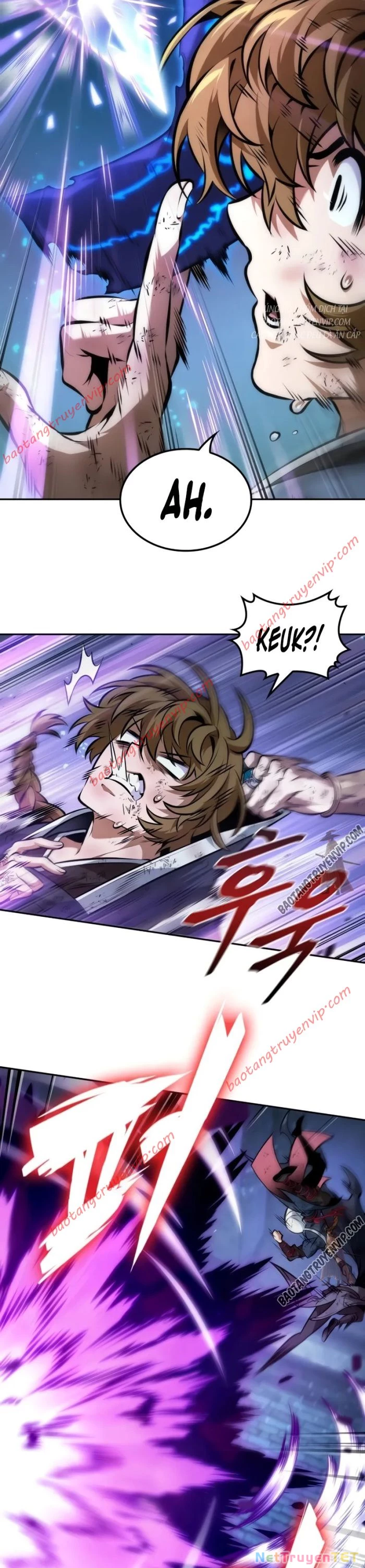 Mạo Hiểm Giả Cuối Cùng Chapter 47 - Trang 2