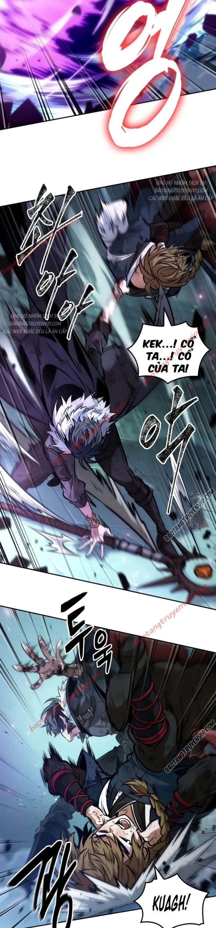 Mạo Hiểm Giả Cuối Cùng Chapter 47 - Trang 2