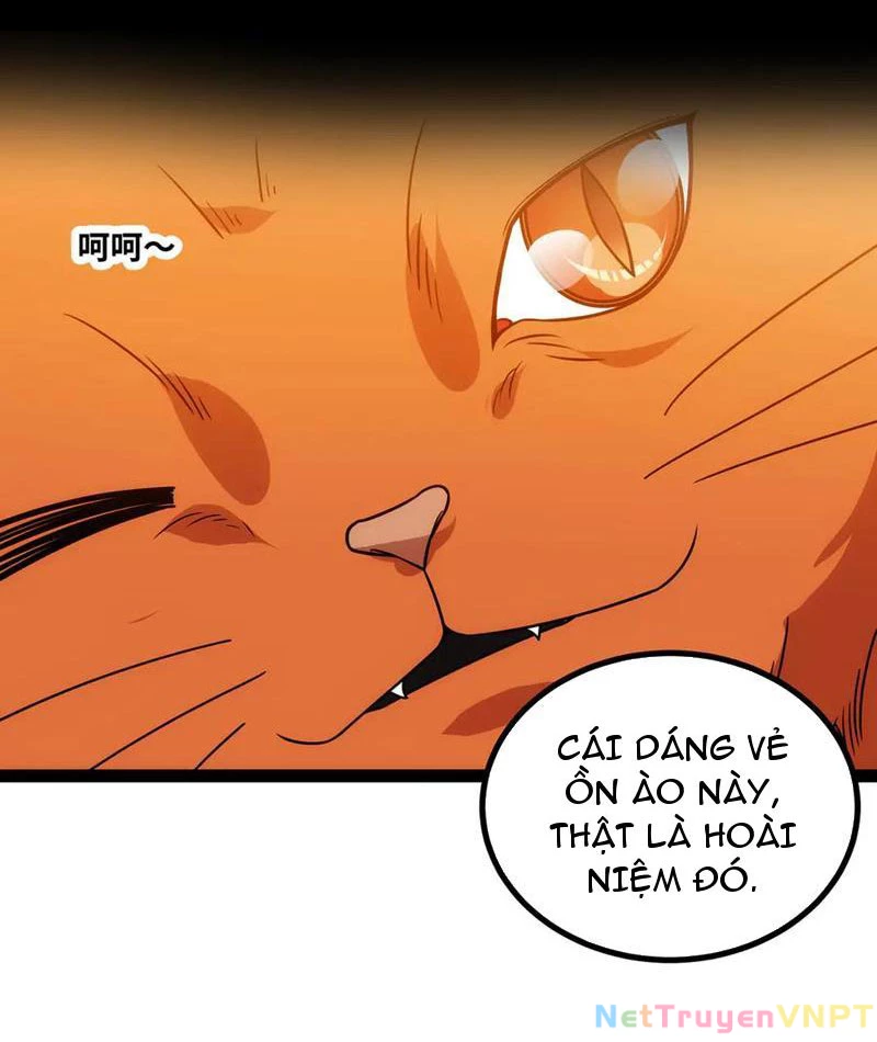 Mạnh Nhất Dị Giới Chapter 52 - 31