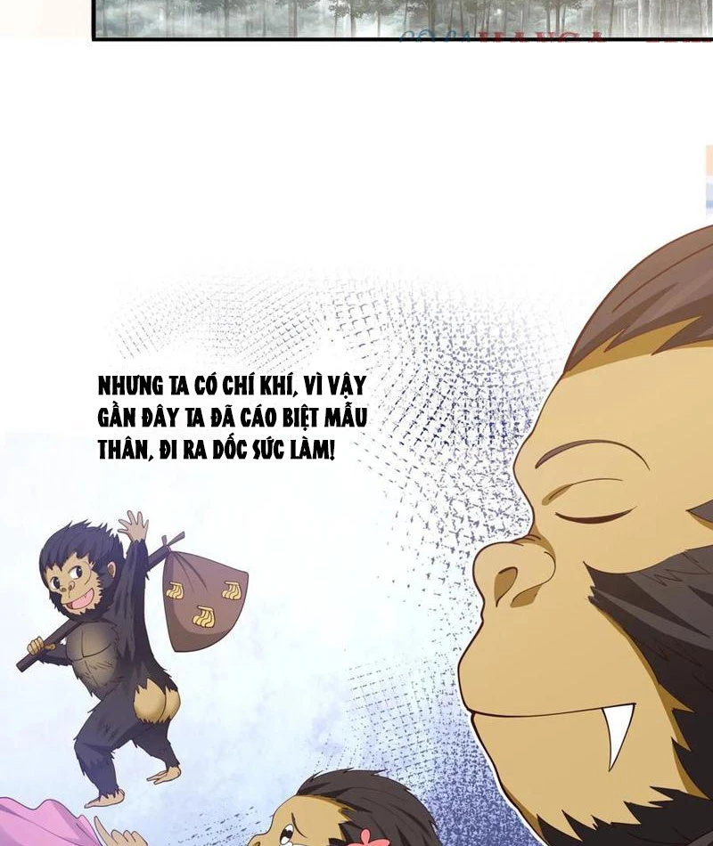 Vô Địch Thật Tịch Mịch Chapter 33 - 15