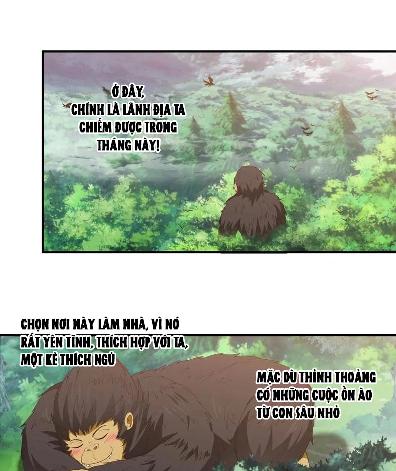 Vô Địch Thật Tịch Mịch Chapter 33 - 17