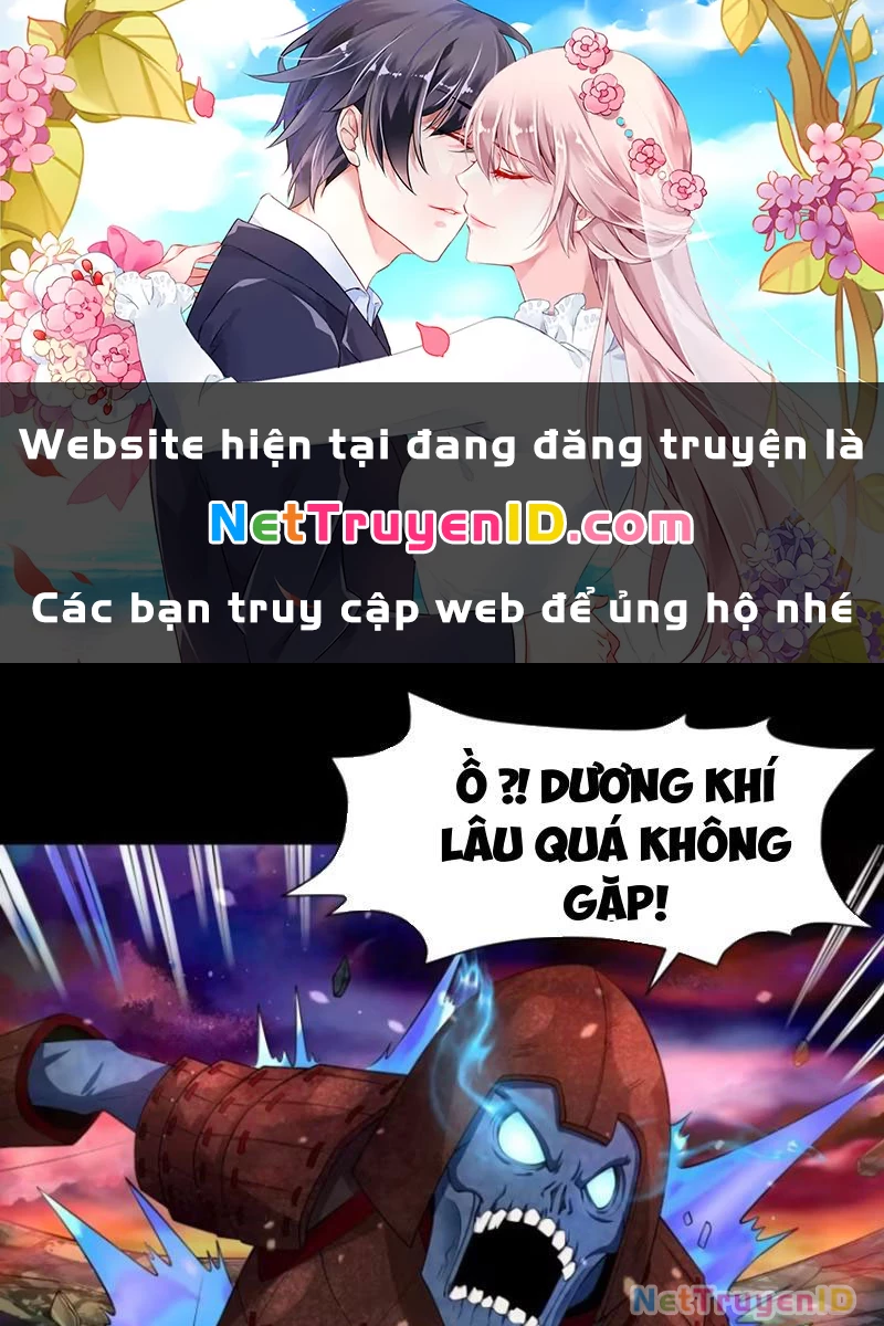 Phu Nhân Nhà Ta Đến Từ Địa Phủ Ngàn Năm Chapter 23 - 1