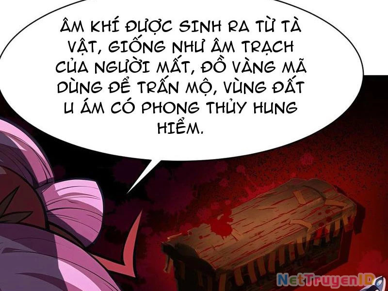 Phu Nhân Nhà Ta Đến Từ Địa Phủ Ngàn Năm Chapter 48 - 11
