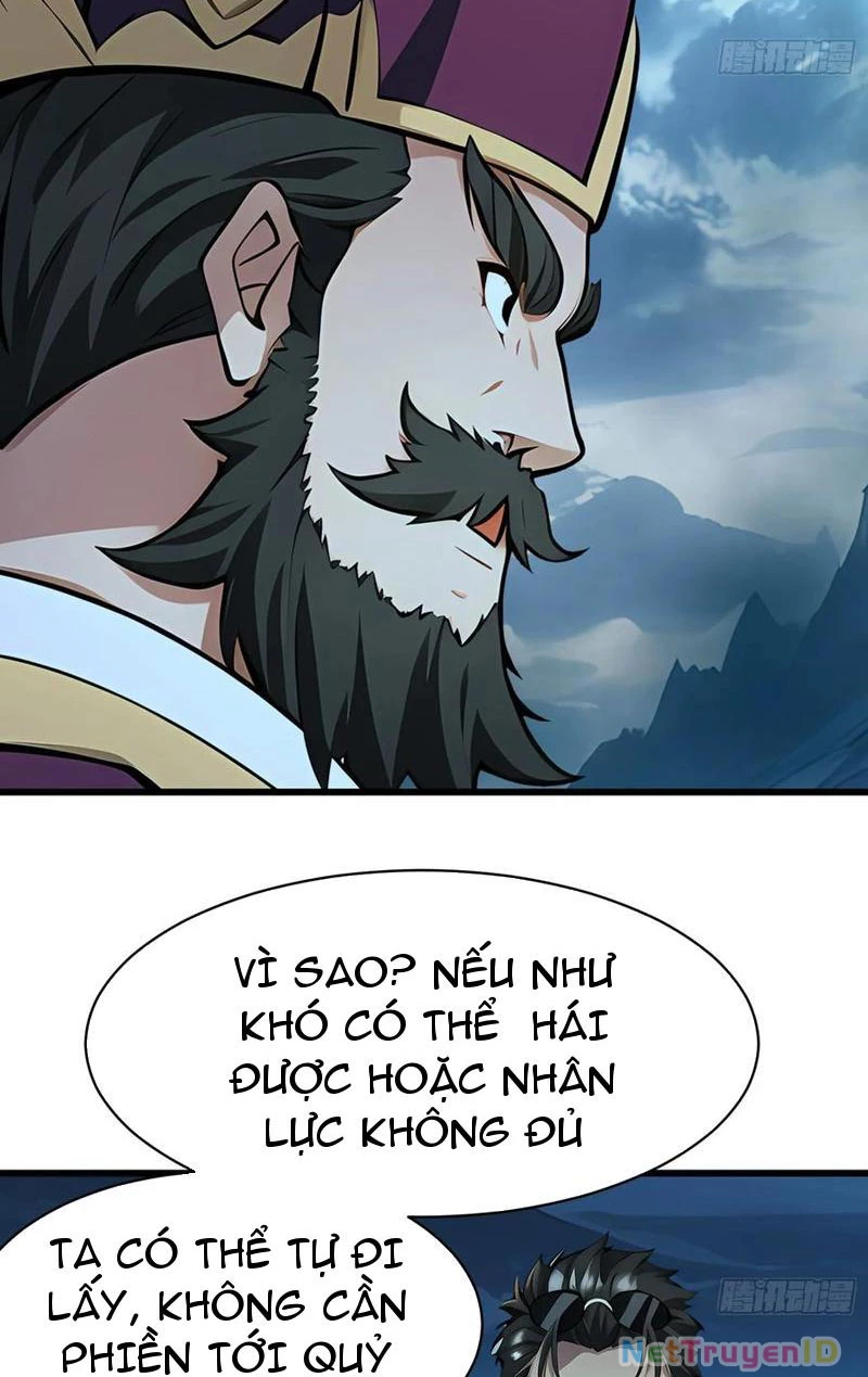 Phu Nhân Nhà Ta Đến Từ Địa Phủ Ngàn Năm Chapter 62 - 13