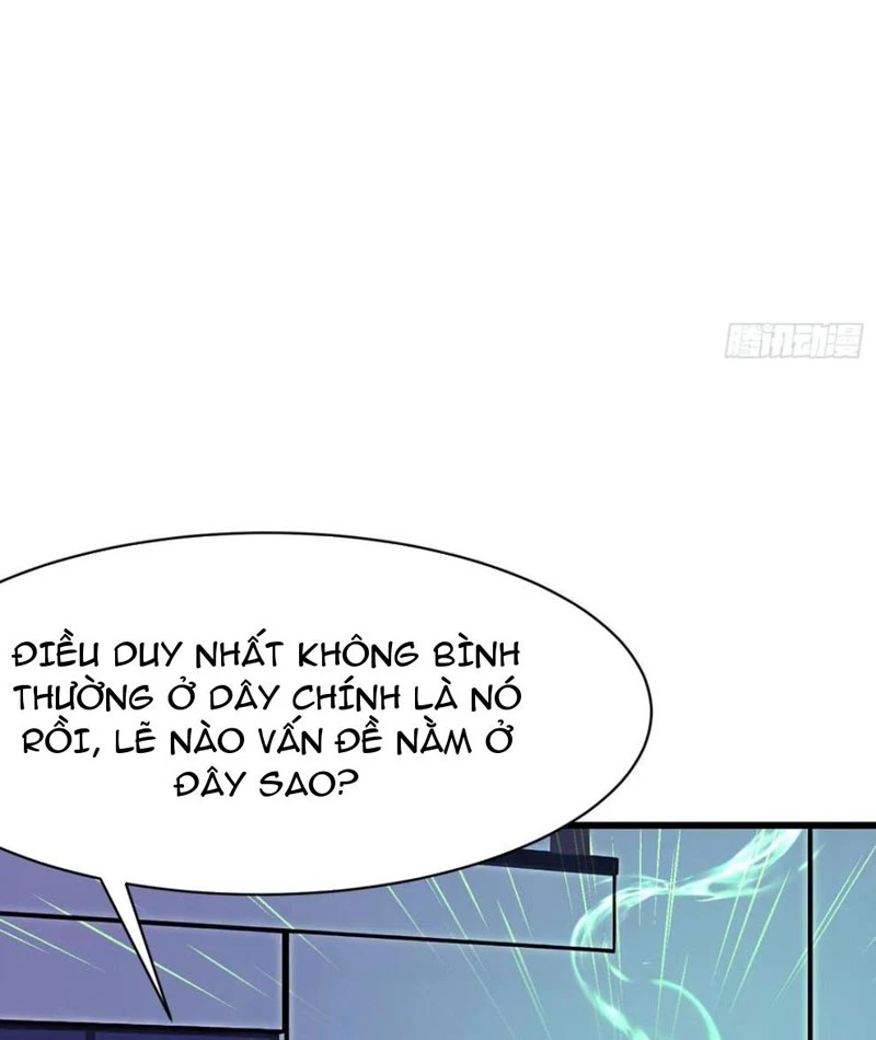 Phu Nhân Nhà Ta Đến Từ Địa Phủ Ngàn Năm Chapter 90 - 55