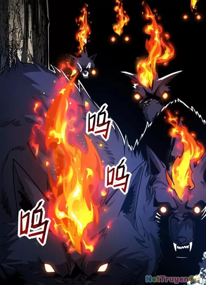 Ta, Chúa Tể Rừng Xanh Chapter 2 - 49