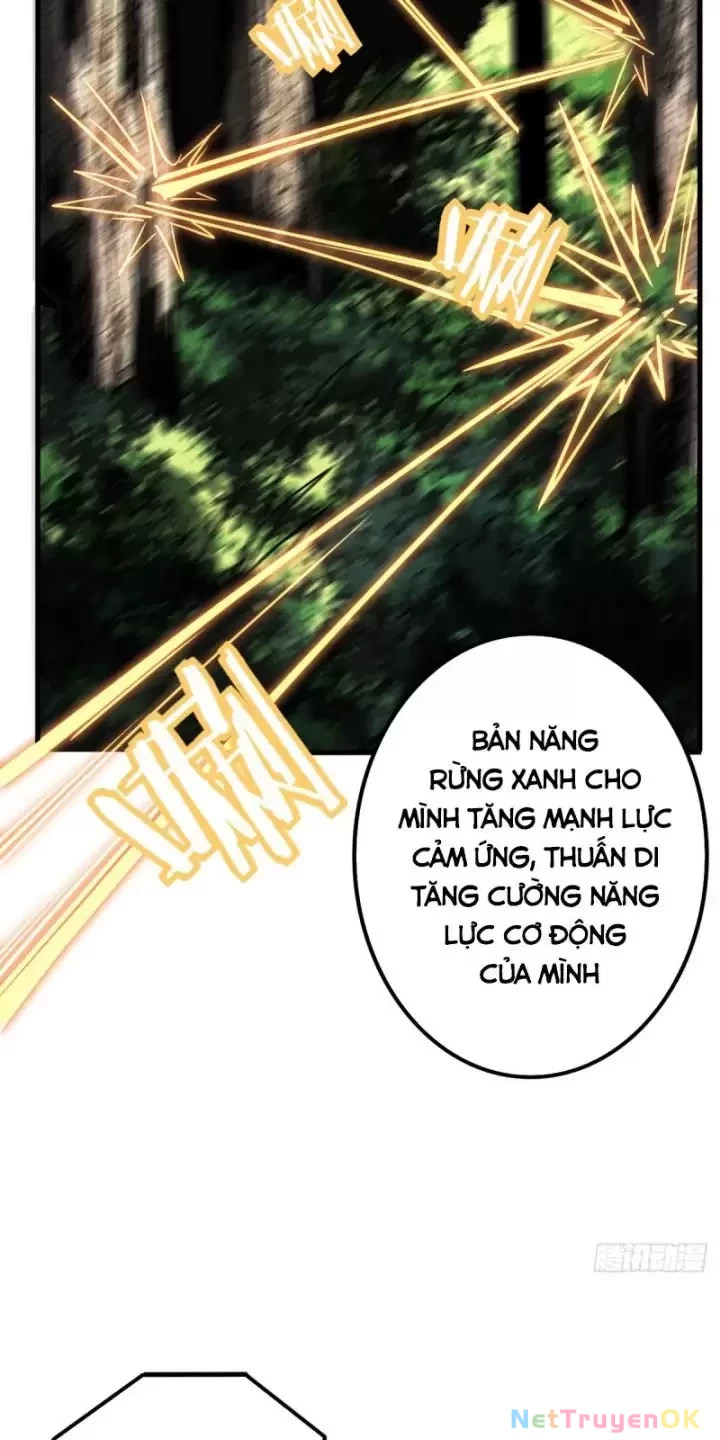 Ta, Chúa Tể Rừng Xanh Chapter 2 - 56