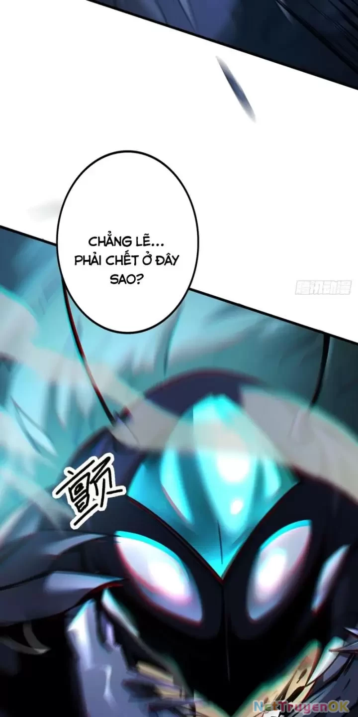 Ta, Chúa Tể Rừng Xanh Chapter 3 - 13