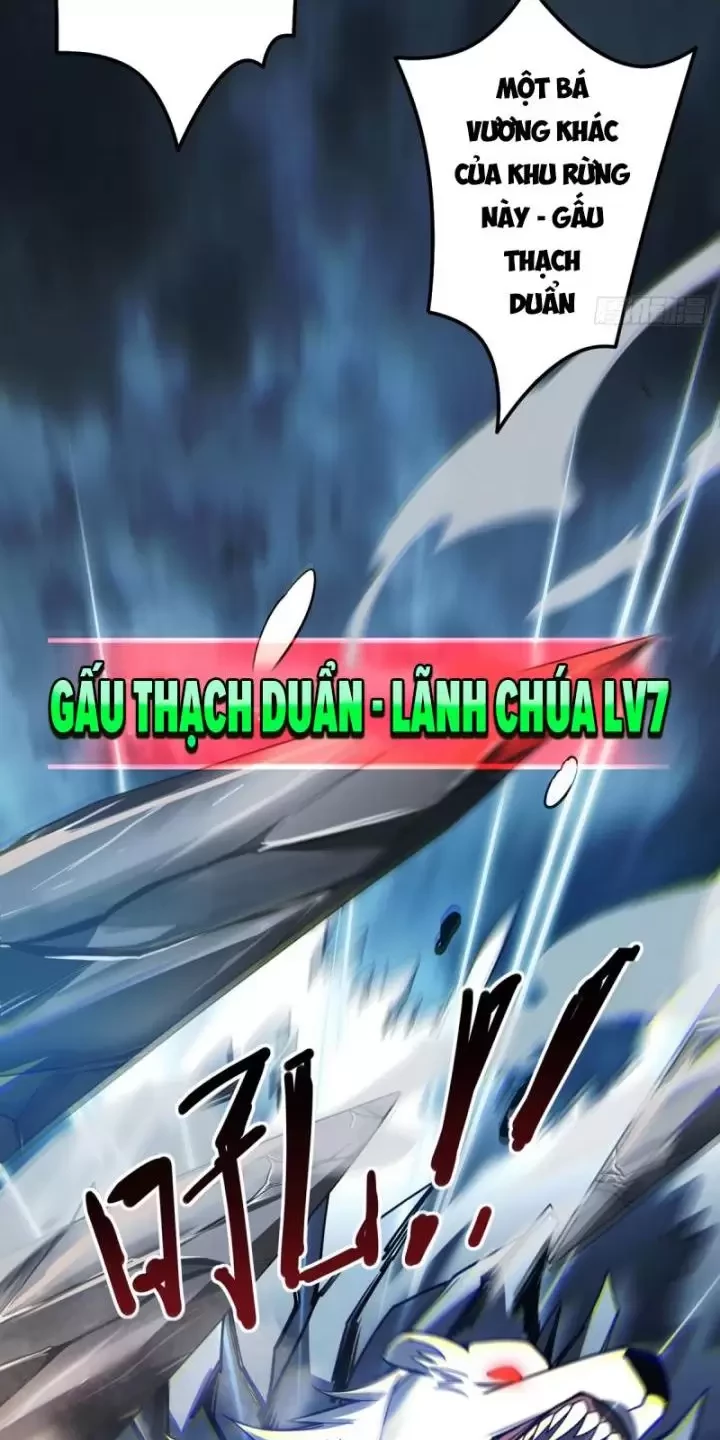 Ta, Chúa Tể Rừng Xanh Chapter 3 - 40