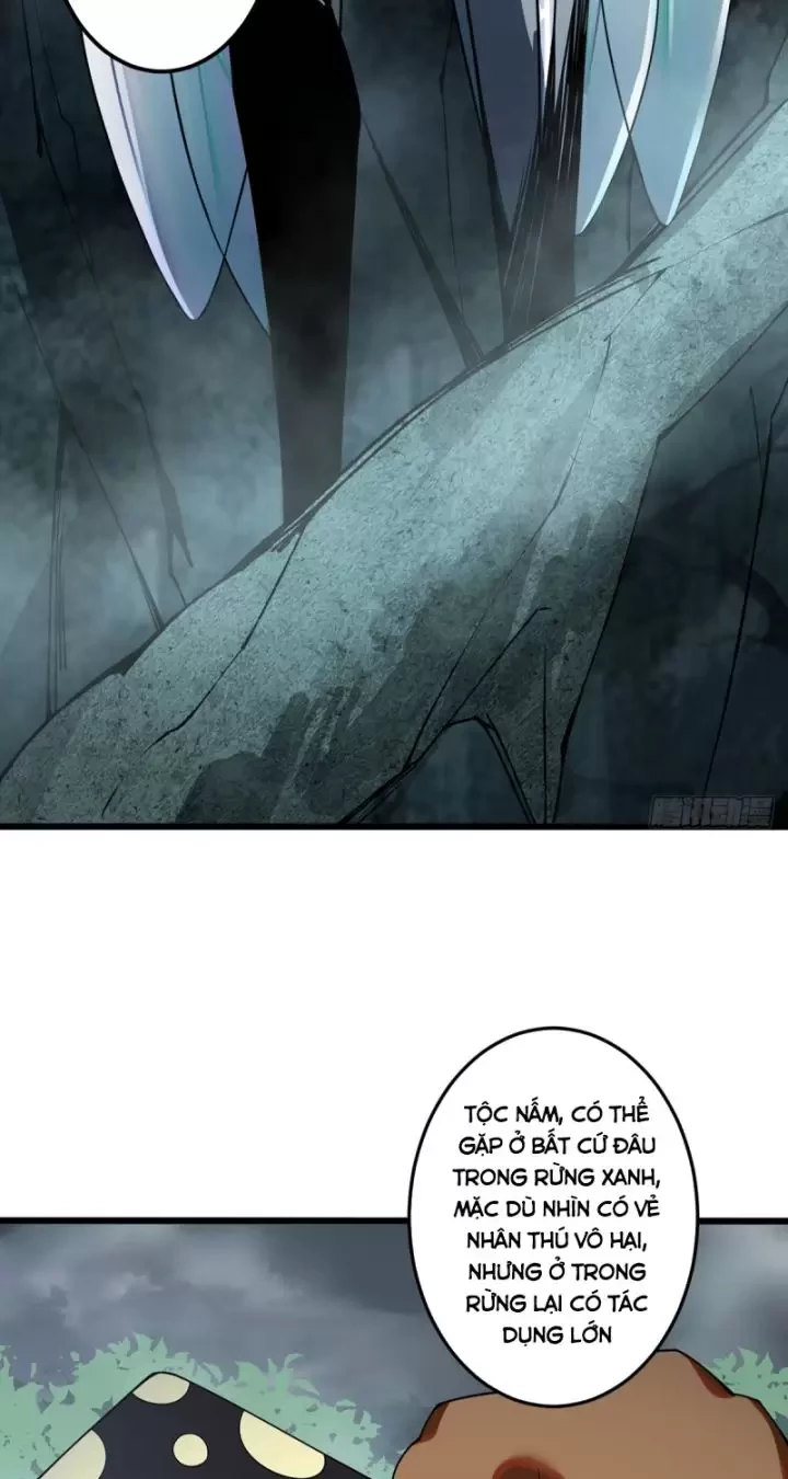 Ta, Chúa Tể Rừng Xanh Chapter 6 - 11